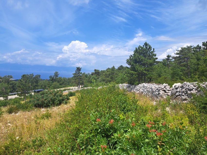 Terrain constructible à vendre en Croatie.