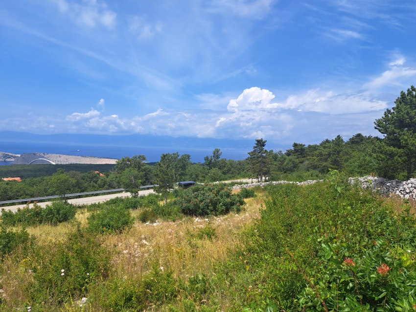 Prairie au bord de la route avec pont et mer à l'arrière-plan