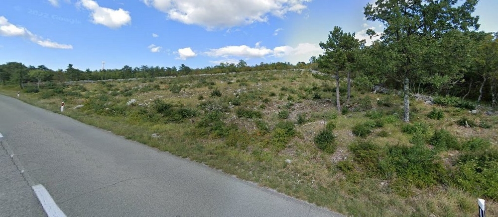 Terrain constructible photographié depuis la route.