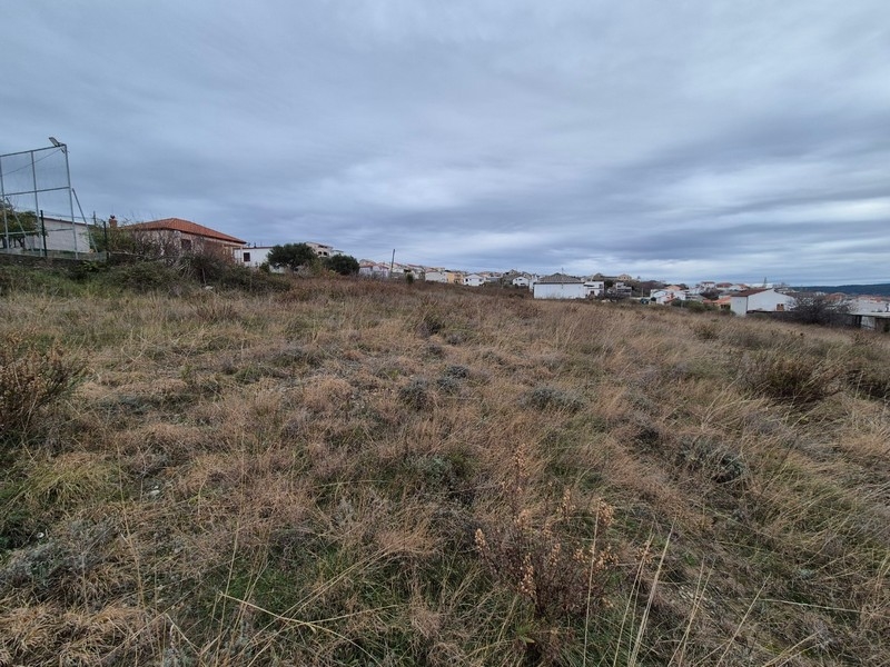 Grand terrain à prix avantageux à acheter en Croatie.