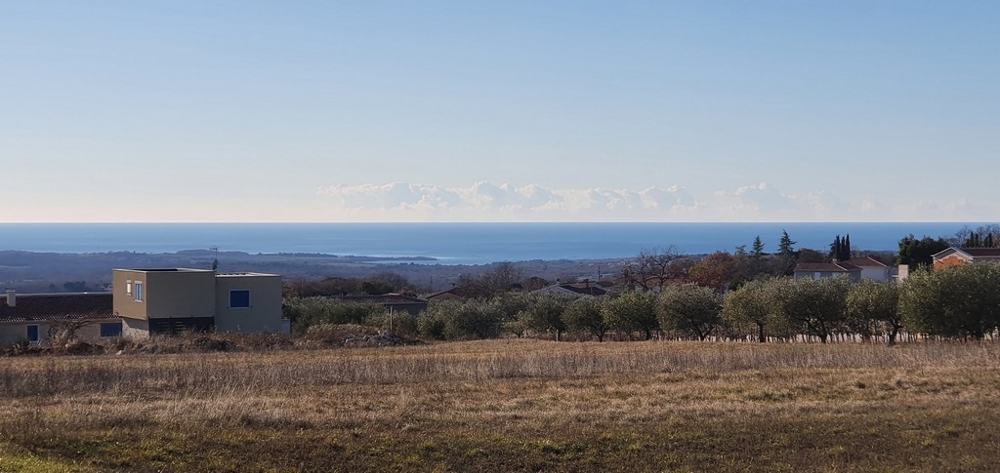 Oliviers et champs avec vue sur la côte