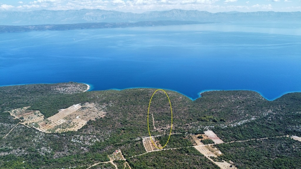 Vue aérienne de la côte avec marquage jaune du terrain
