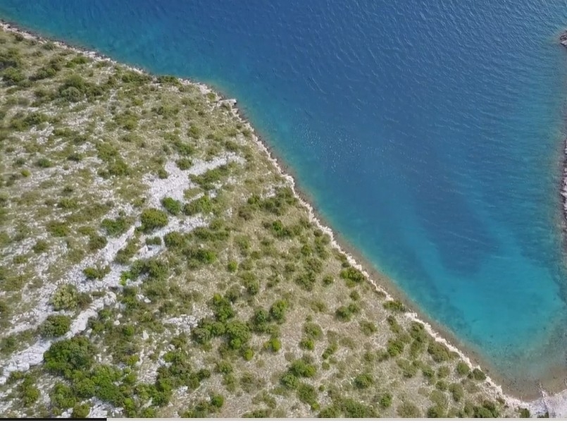 Ligne côtière végétalisée vue du dessus avec eau turquoise peu profonde