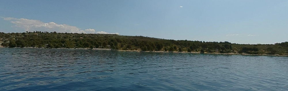 Vue depuis l'eau sur la bande de rivage végétalisée