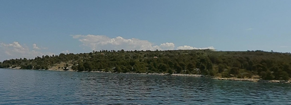 Bande côtière boisée vue depuis l'eau