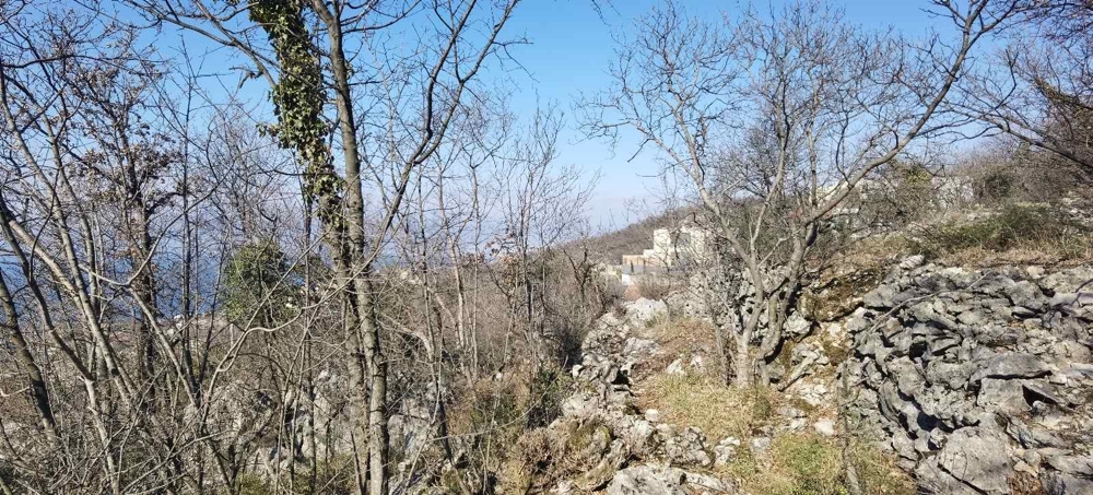 Terrain boisé avec mur en pierres sèches sur le versant