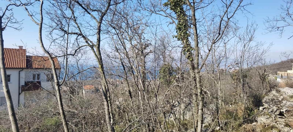 Vue à travers des arbres dénudés sur une maison d'habitation et la mer
