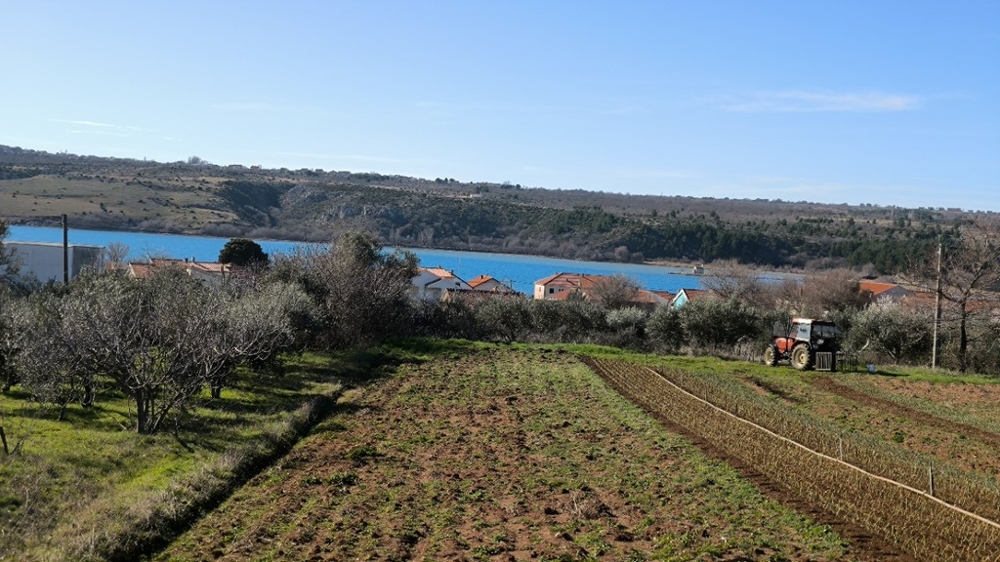 Champ cultivé avec tracteur et vue sur la baie