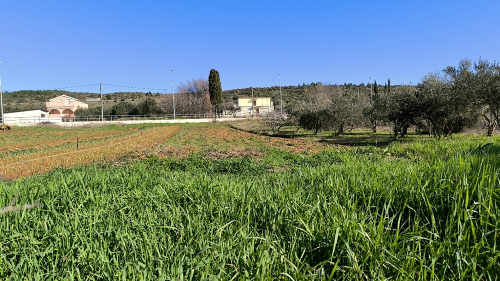 Terrain à vendre à Posedarje.