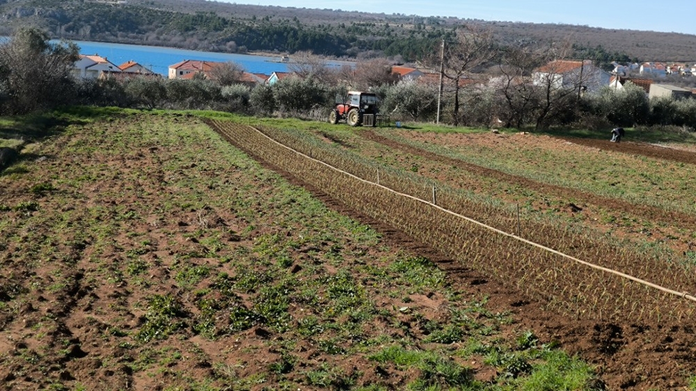 Sillons de labour avec tracteur et village à l'arrière-plan