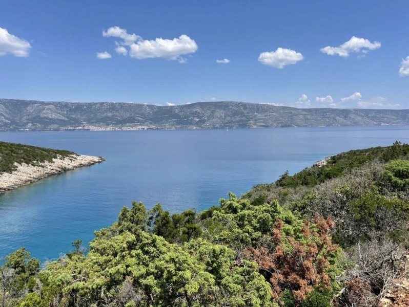 Terrain agricole à vendre sur Hvar.
