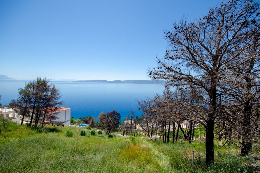 Terrain constructible avec vue mer près d'Omis