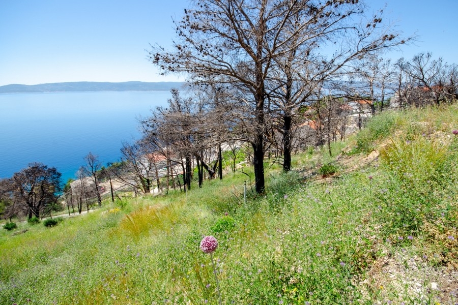 Terrain à bâtir avec vue panoramique sur la mer en Croatie