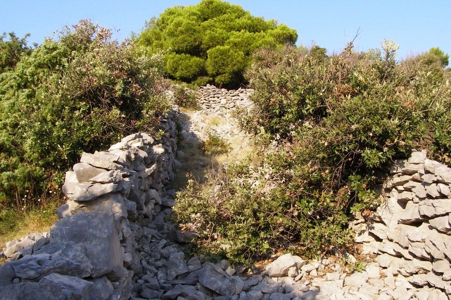 Cadre naturel avec vue mer près de Rogoznica