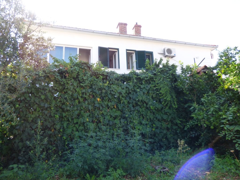 Arrière de la maison derrière une haie dense
