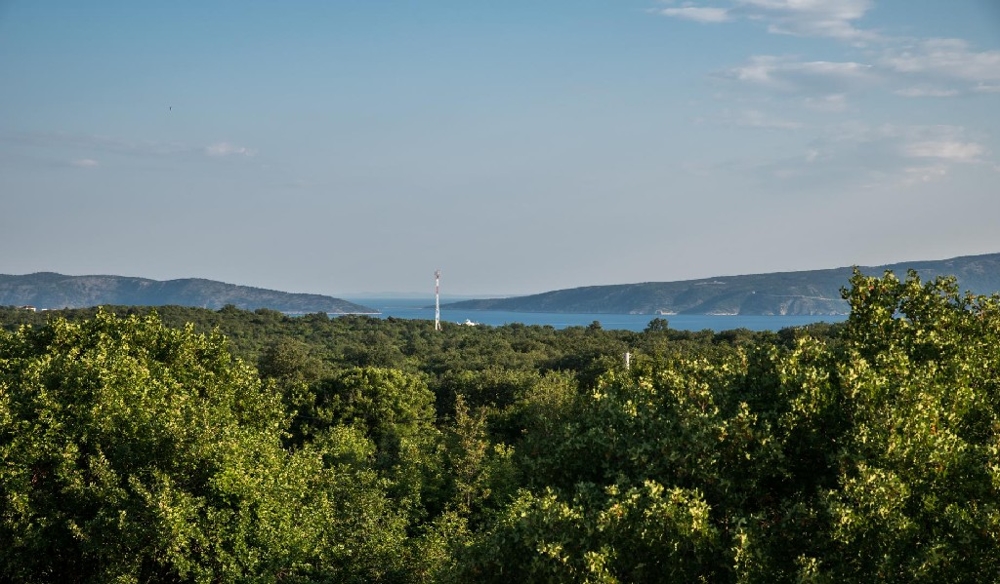 Cimes d'arbres avec vue sur le détroit et le mât d'éolienne