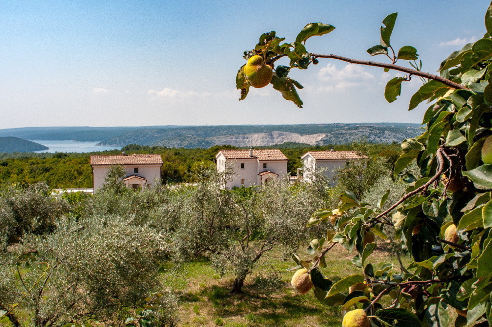 Maisons en pierre avec vue mer en Istrie, Croatie, à vendre - Panorama Scouting GmbH.