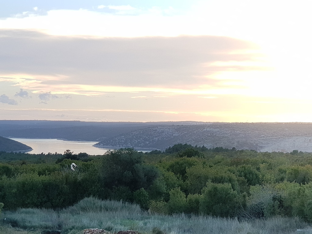 Vue sur le paysage vert avec vue mer.