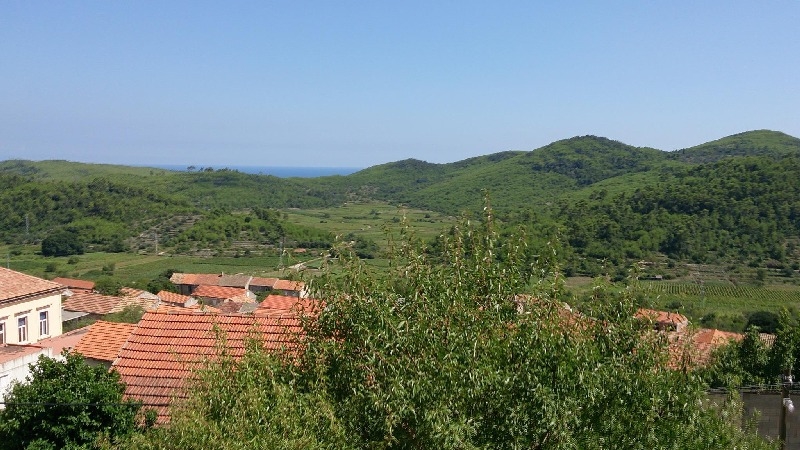 Toits en tuiles avec vue sur les collines vertes jusqu'à la mer