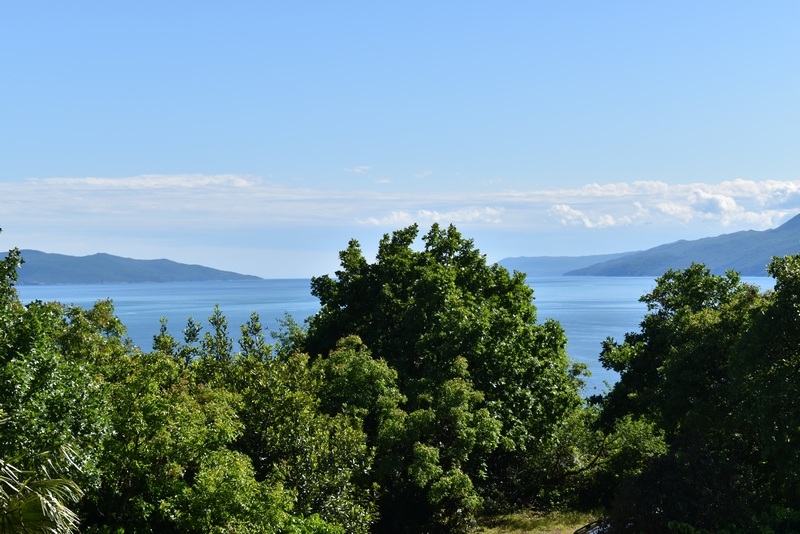 Cimes d'arbres avec vue sur la baie et la chaîne d'îles