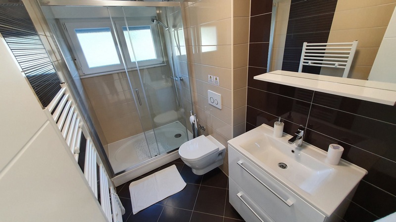 Salle de bains avec douche.