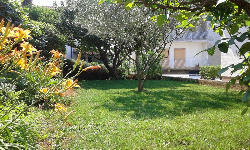 Jardin du bien H1816 près de Zadar en Croatie - Panorama Scouting Immobilier.