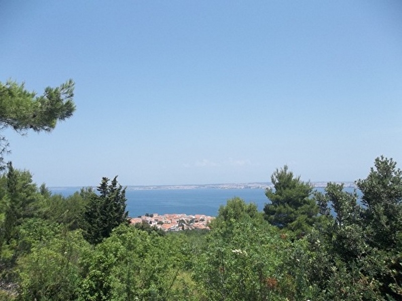 Des pins encadrent la vue sur le village et la baie