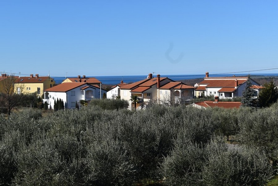 Vue au-dessus de l'oliveraie sur les maisons et la mer