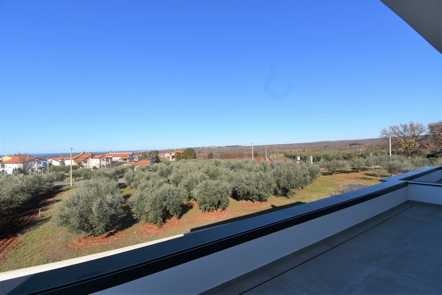 Vue depuis le balcon au-dessus de l'oliveraie jusqu'à l'horizon