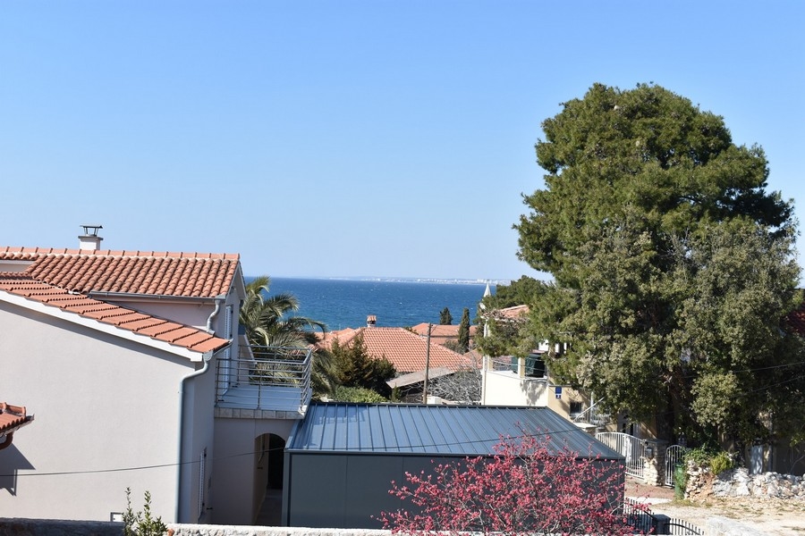 Vue au-dessus des toits et des pins sur la pleine mer