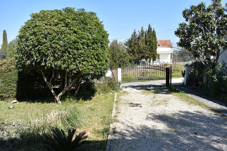 Allée de gravier vers le portail métallique avec arbre dans le jardin de devant
