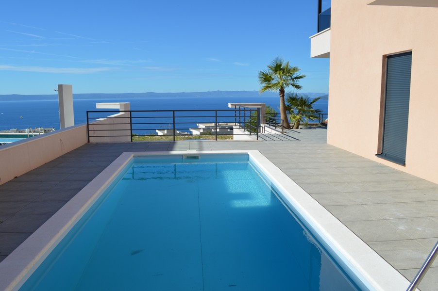 Piscine sur la terrasse avec palmier et vue sur la baie