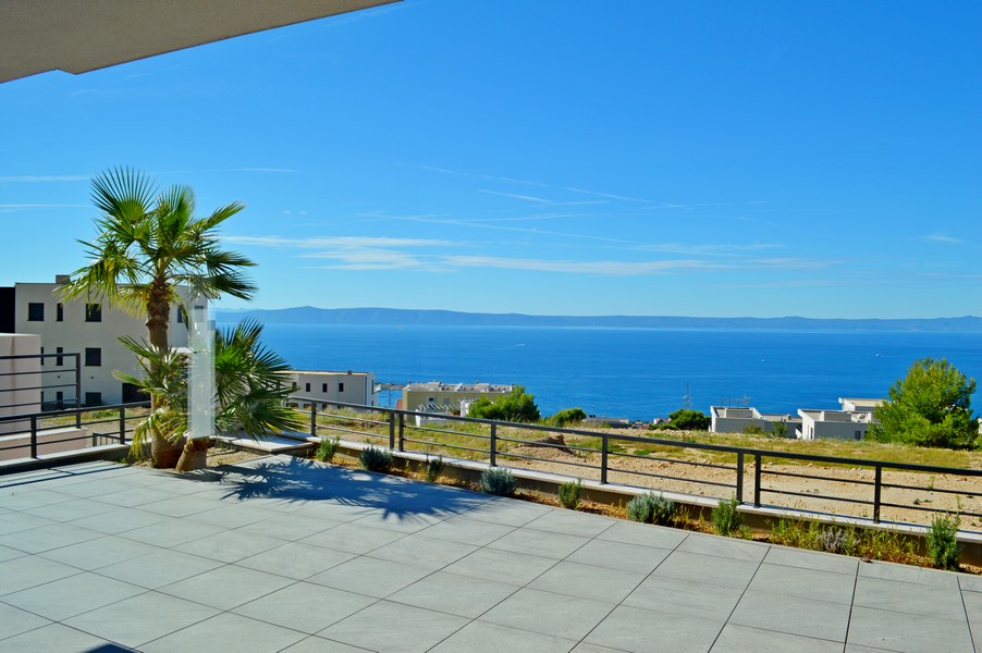 Grande terrasse avec palmier et vaste vue sur la mer