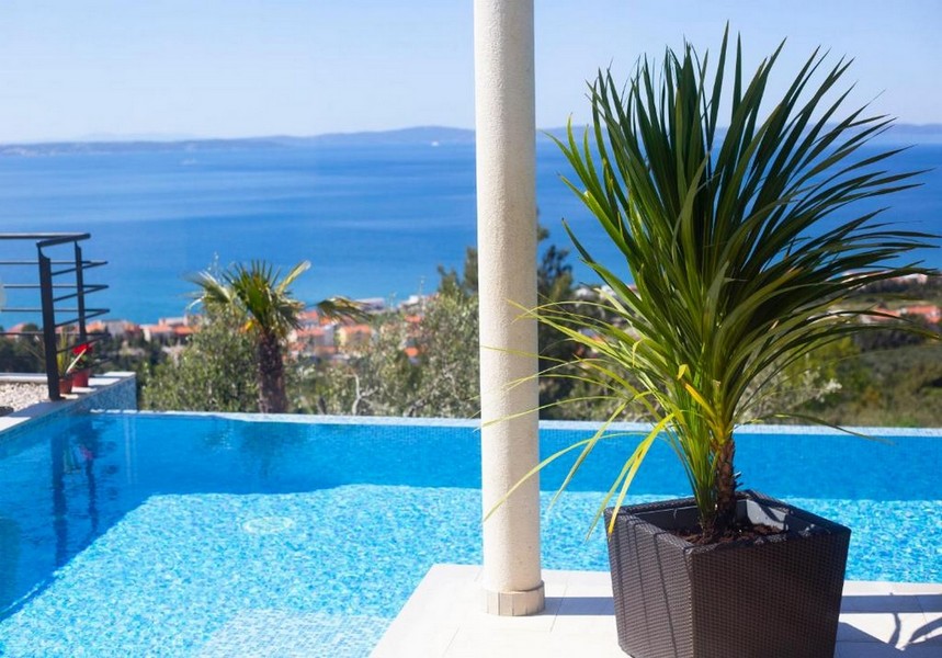Palmier en bac au bord de la piscine avec vue sur la baie