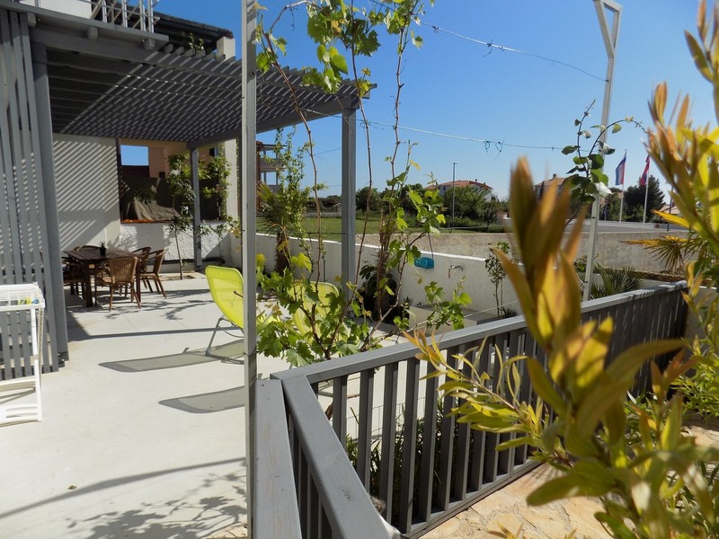 Terrasse sous la pergola avec plantes grimpantes sur le garde-corps