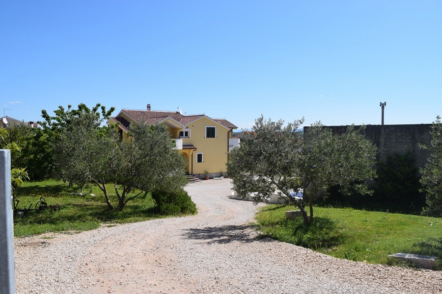 Chemin de gravier entre des oliviers menant à la maison