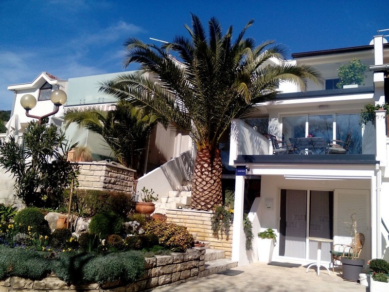 Maison en bande avec grand palmier et loggia vitrée