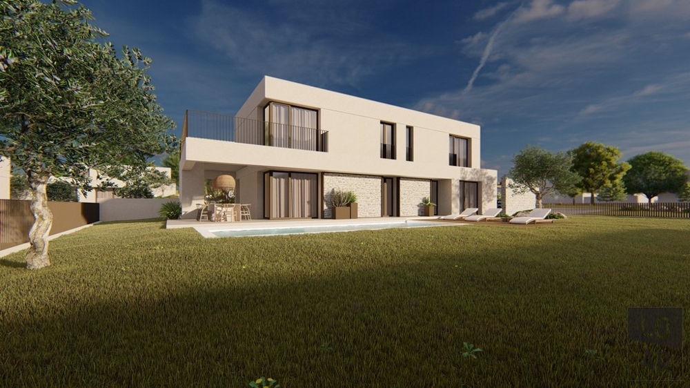 Visualisation du côté jardin avec piscine et olivier