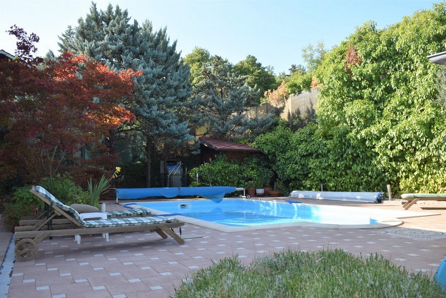 Piscine avec transat dans le jardin entre de grands arbres