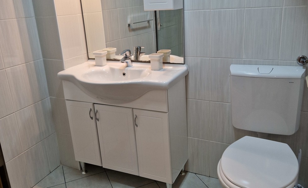 Salle de bains avec vasque et WC