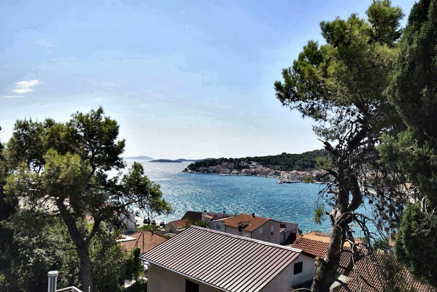 Vue entre les pins par-dessus les toits de tuiles sur le port