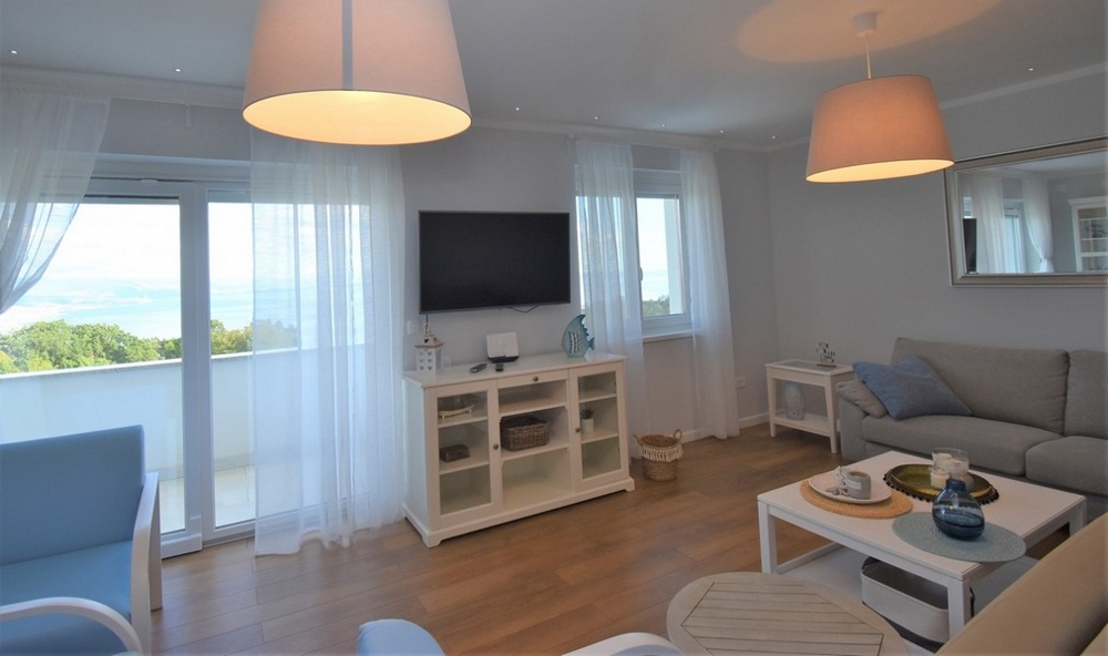 Salon avec canapé et TV