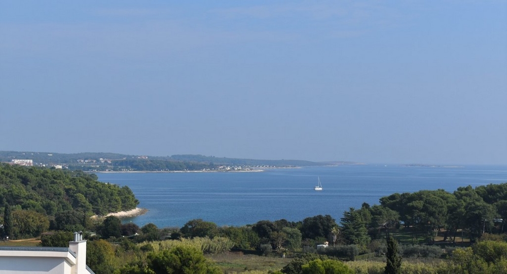 Vue au-dessus des pins parasols et de la baie sur la pleine mer