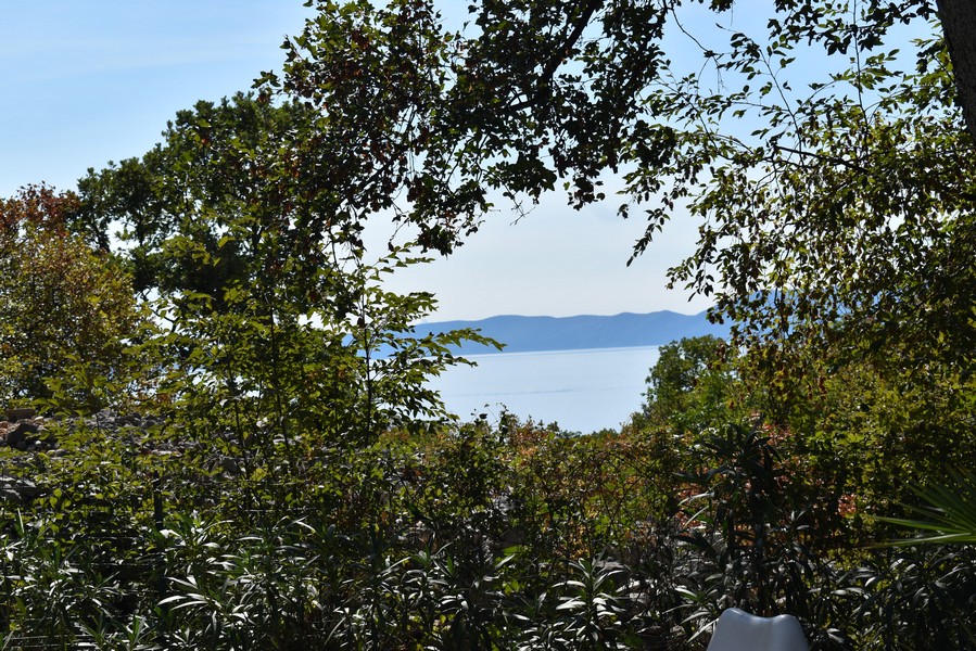 Vue à travers les arbres sur l'eau et la côte