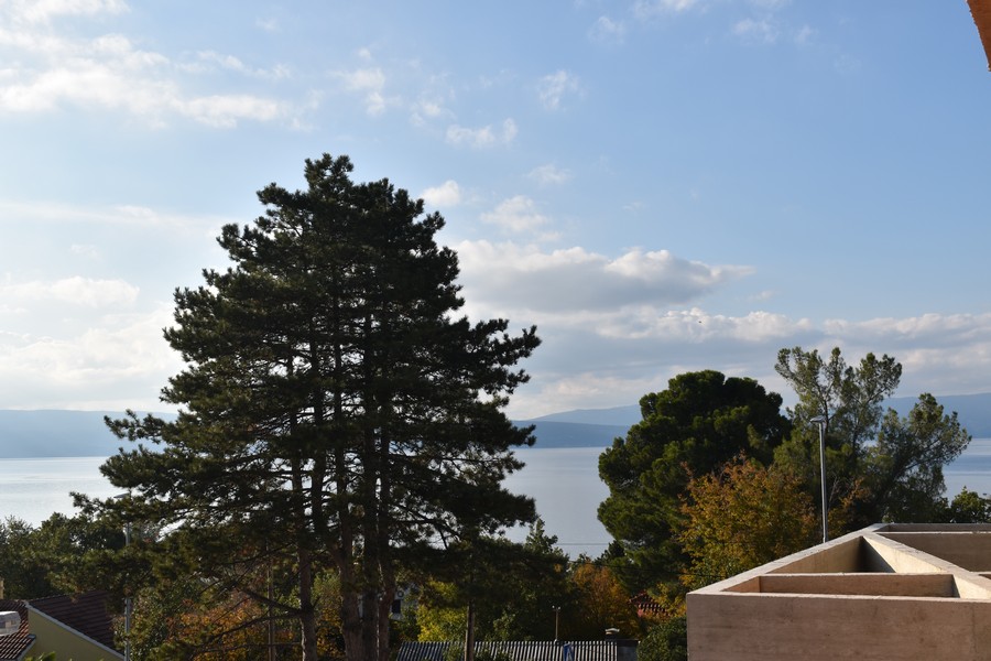 Grand pin devant la mer et la côte d'en face