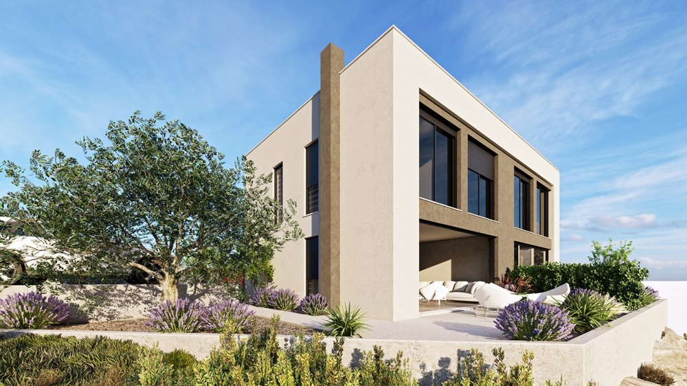 Visualisation de la maison avec olivier et lavande