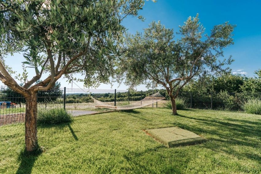 Hamac entre des oliviers dans le jardin clos
