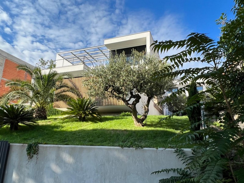 Villa au-dessus du jardin avec olivier et palmiers