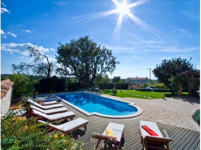 Piscine avec transats sous un arbre à contre-jour