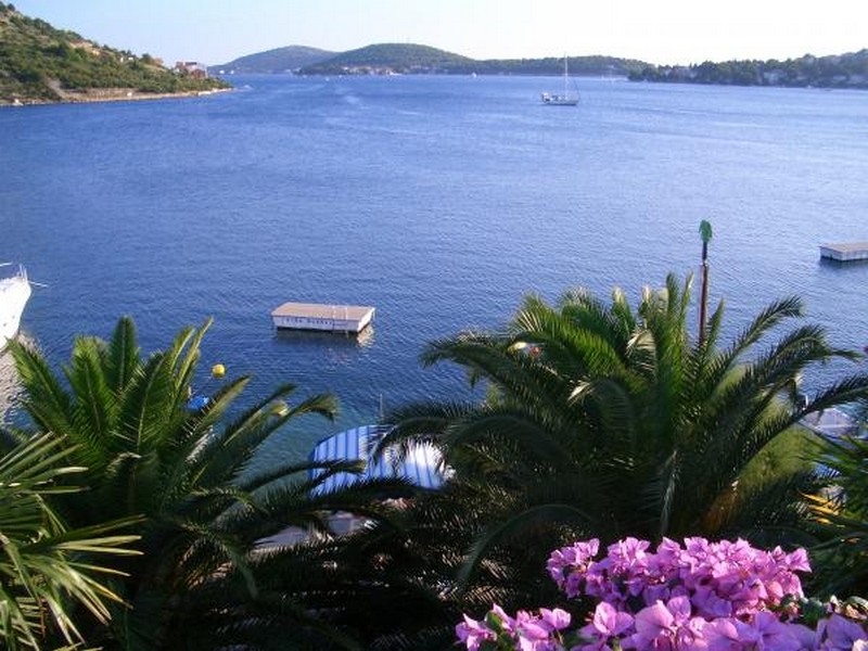Bougainvillées en fleurs et palmiers devant la baie avec ponton de baignade